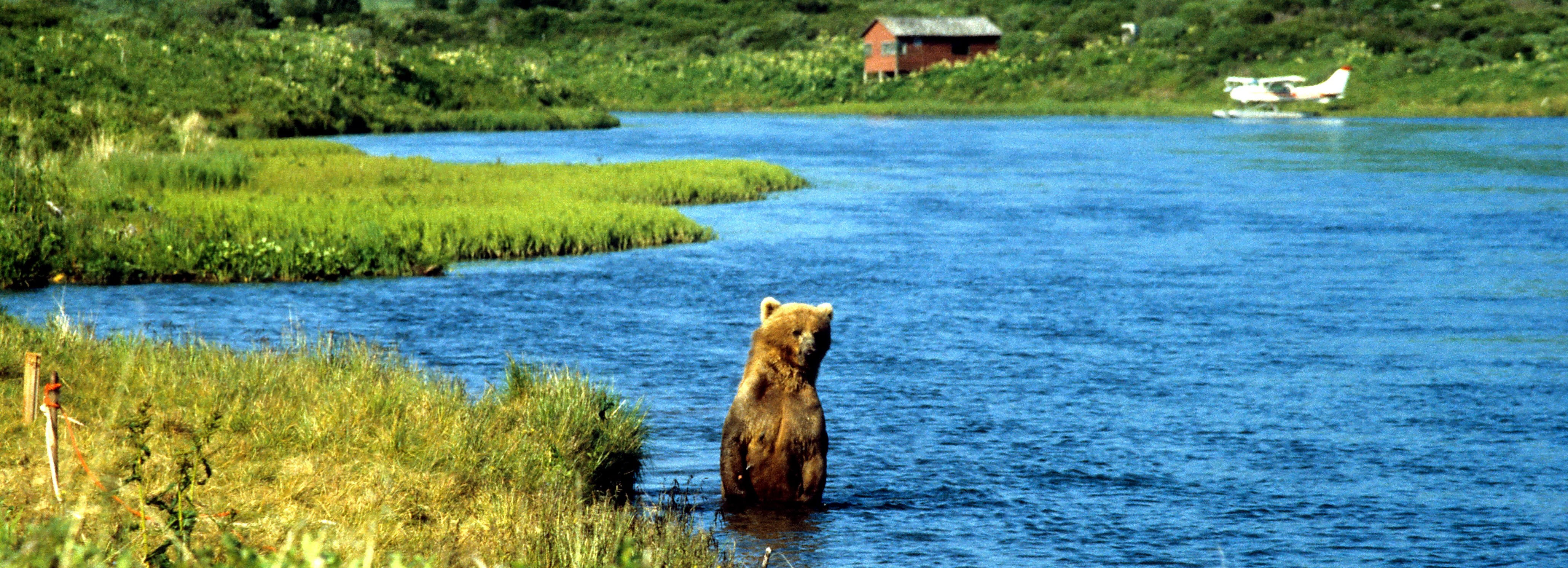 15-day Alaska Cruise aboard the Trident Nov. 1 to 11, 2024