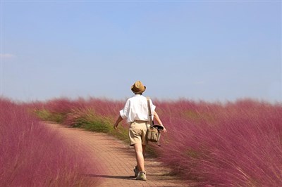 woman walking on a path